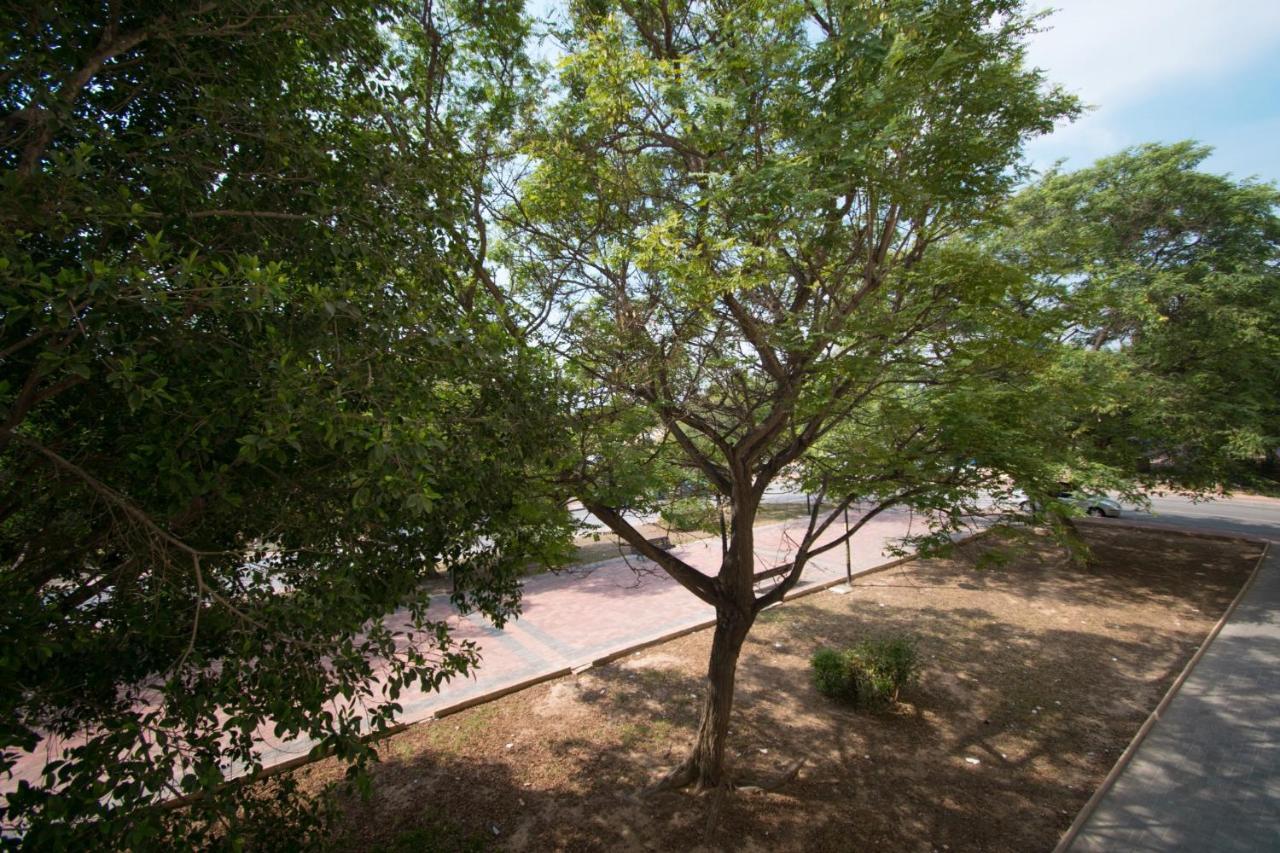 113 Beach And Trees - Alicante Holiday Torrevieja Buitenkant foto