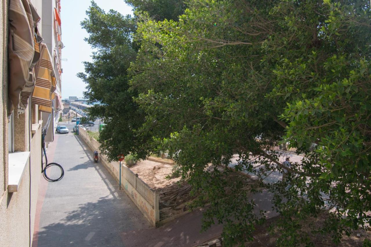 113 Beach And Trees - Alicante Holiday Torrevieja Buitenkant foto