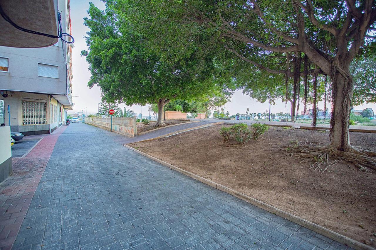 113 Beach And Trees - Alicante Holiday Torrevieja Buitenkant foto